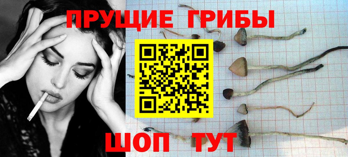 Псилоцибиновые грибы MAGIC MUSHROOMS Люберцы